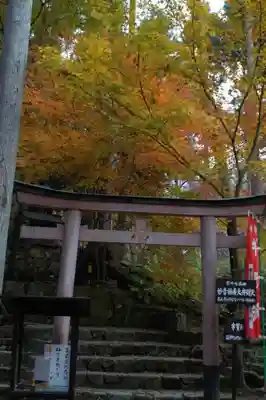三千院門跡の鳥居