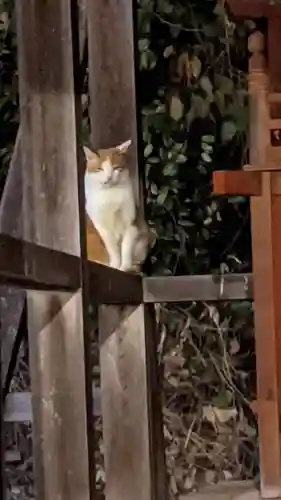 八事山 興正寺の動物