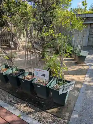 兵庫縣姫路護國神社(兵庫県)