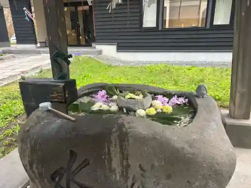 長沼神社の{uncategorized: "未分類", other: "その他", undefined: "問題あり", building: "その他建物", grave: "お墓", sacred_gate: "鳥居", guardian: "狛犬", statue: "像", buddha: "仏像", history: "歴史", nature: "自然", garden: "庭園", animal: "動物", pagoda: "塔", temizu: "手水舎", mountain_gate: "山門・神門", sanctuary: "本殿・本堂", subordinate: "末社・摂社", art: "芸術", scenery: "景色", jizo: "地蔵", ema: "絵馬", goshuin: "御朱印", omikuji: "おみくじ", items: "授与品その他", amulet: "お守り", goshuincho: "御朱印帳", eats: "食事", festival: "お祭り", votive_dance: "神楽", shichigosan: "七五三参", wedding: "結婚式", experience: "体験その他", initially: "初詣", around: "周辺", anti_infection: "感染症対策"}