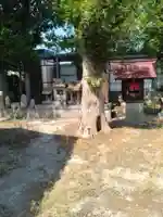 東屋沼神社(福島県)