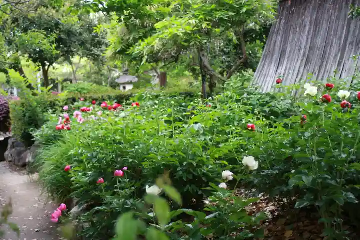 石光寺(奈良県)