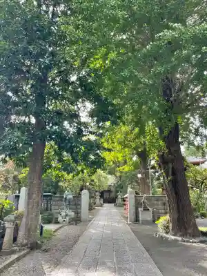 高安寺(東京都)