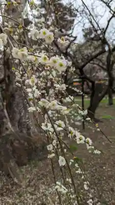 北野天満宮(京都府)