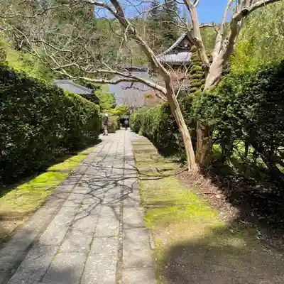 安楽寺のその他建物