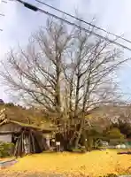 長言寺(埼玉県)