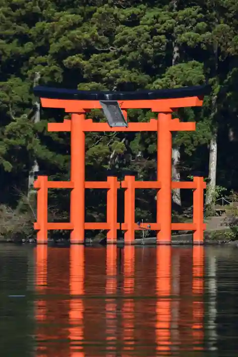 箱根神社の鳥居