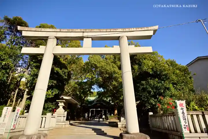 王子神社の鳥居