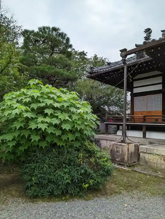本満寺(本願満足寺)(京都府)