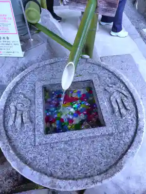 岡寺(龍蓋寺)(奈良県)