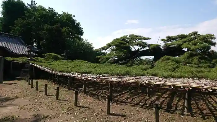 菅原神社の建物その他