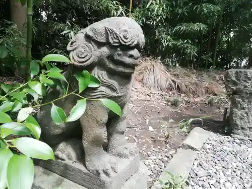 菊田神社の狛犬