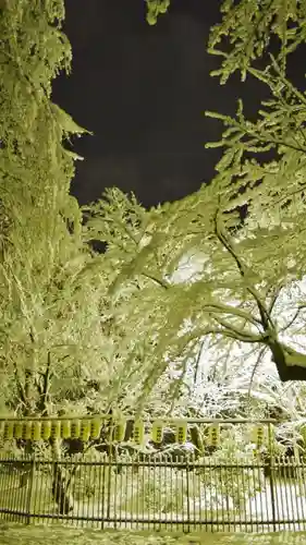 平野神社のその他建物