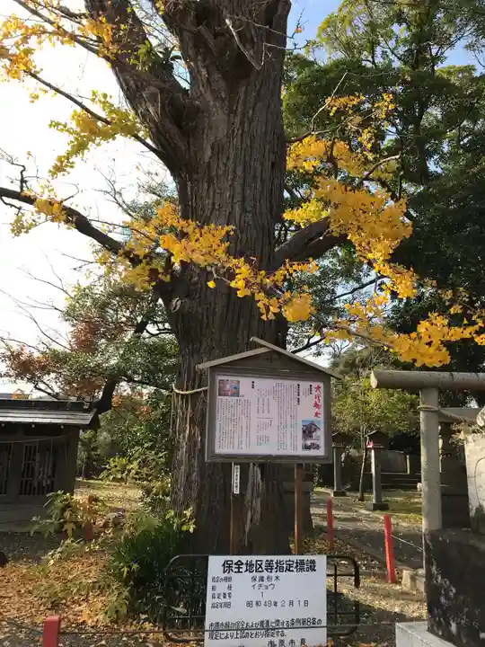 大宮神社のその他建物