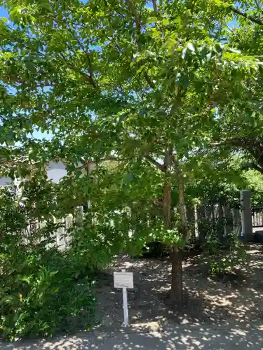 生石神社(兵庫県)