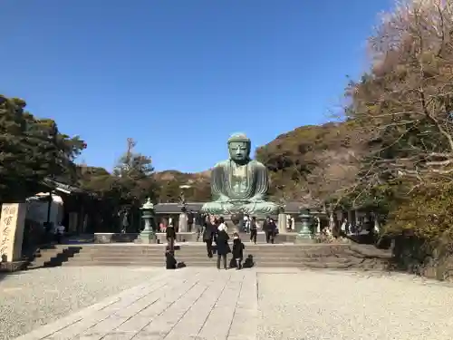 高徳院の仏像