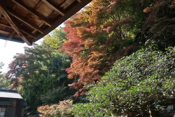 正法寺(京都府)