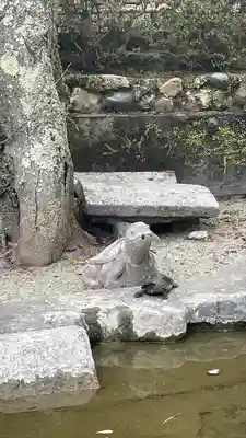 長谷寺(奈良県)