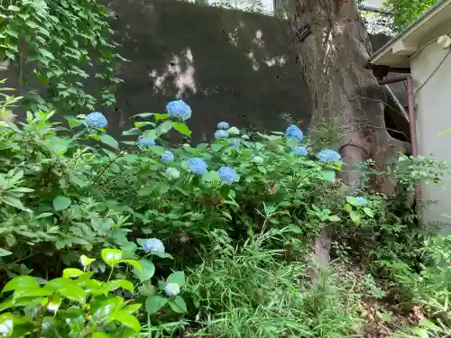 石川神社の{uncategorized: "未分類", other: "その他", undefined: "問題あり", building: "その他建物", grave: "お墓", sacred_gate: "鳥居", guardian: "狛犬", statue: "像", buddha: "仏像", history: "歴史", nature: "自然", garden: "庭園", animal: "動物", pagoda: "塔", temizu: "手水舎", mountain_gate: "山門・神門", sanctuary: "本殿・本堂", subordinate: "末社・摂社", art: "芸術", scenery: "景色", jizo: "地蔵", ema: "絵馬", goshuin: "御朱印", omikuji: "おみくじ", items: "授与品その他", amulet: "お守り", goshuincho: "御朱印帳", eats: "食事", festival: "お祭り", votive_dance: "神楽", shichigosan: "七五三参", wedding: "結婚式", experience: "体験その他", initially: "初詣", around: "周辺", anti_infection: "感染症対策"}