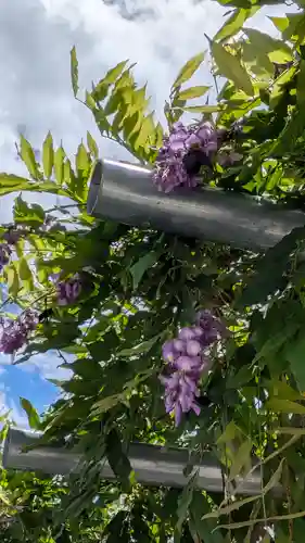 大松禅寺(京都府)