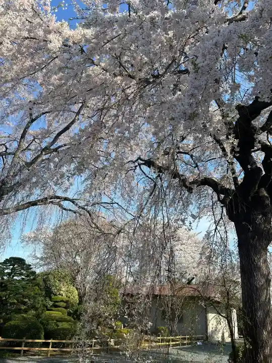 身照寺の{uncategorized: "未分類", other: "その他", undefined: "問題あり", building: "その他建物", grave: "お墓", sacred_gate: "鳥居", guardian: "狛犬", statue: "像", buddha: "仏像", history: "歴史", nature: "自然", garden: "庭園", animal: "動物", pagoda: "塔", temizu: "手水舎", mountain_gate: "山門・神門", sanctuary: "本殿・本堂", subordinate: "末社・摂社", art: "芸術", scenery: "景色", jizo: "地蔵", ema: "絵馬", goshuin: "御朱印", omikuji: "おみくじ", items: "授与品その他", amulet: "お守り", goshuincho: "御朱印帳", eats: "食事", festival: "お祭り", votive_dance: "神楽", shichigosan: "七五三参", wedding: "結婚式", experience: "体験その他", initially: "初詣", around: "周辺", anti_infection: "感染症対策"}