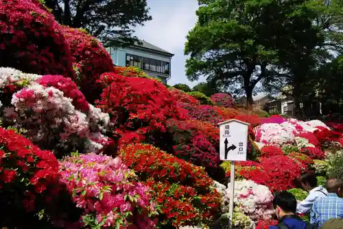 根津神社の庭園