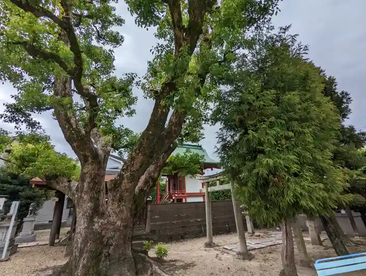 珠城神社(京都府)