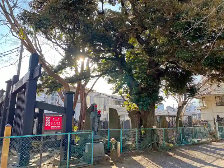 円通寺(東京都)