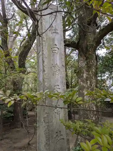 白幡天神社(千葉県)
