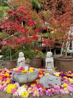 岡寺（龍蓋寺）(奈良県)