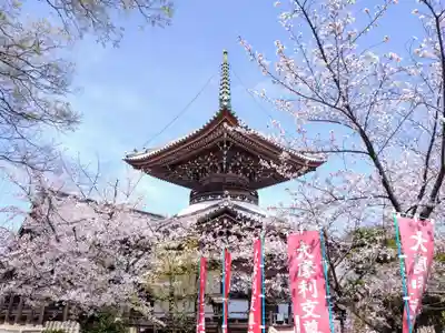 本法寺(京都府)