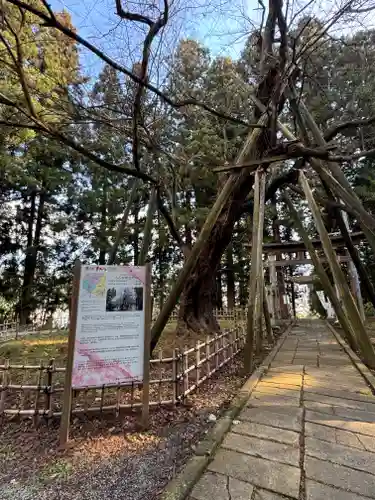 八乙女八幡神社(山形県)
