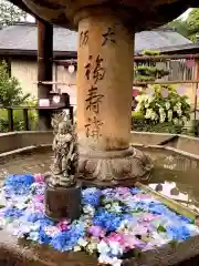 三室戸寺(京都府)