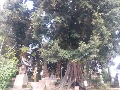揖夜神社(島根県)