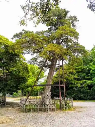 野田八幡宮の建物その他