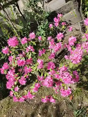小野照崎神社(東京都)
