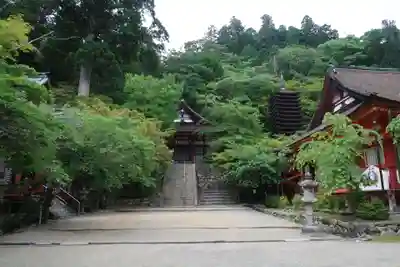 談山神社(奈良県)
