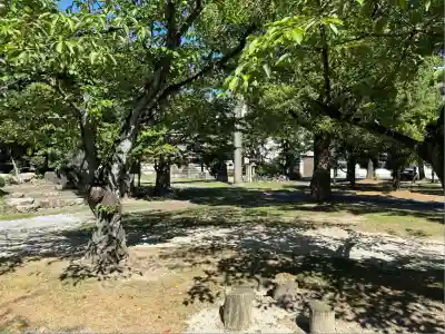濃飛護國神社(岐阜県)