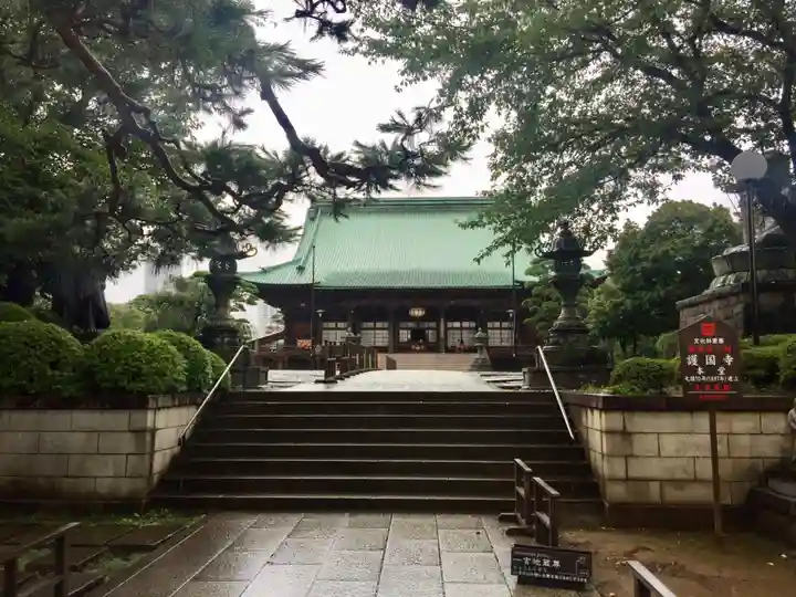 護国寺の本殿・本堂