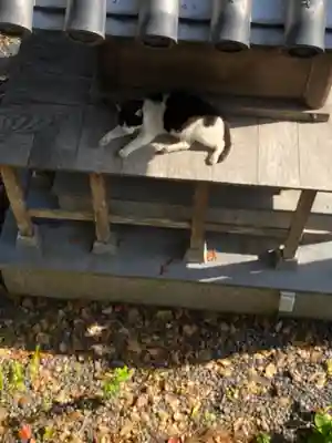 地藏寺(和歌山県)