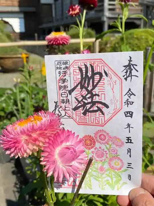 妙蓮寺の御朱印