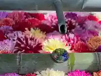 岡寺(龍蓋寺)(奈良県)