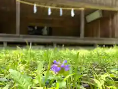 菱野健功神社の自然