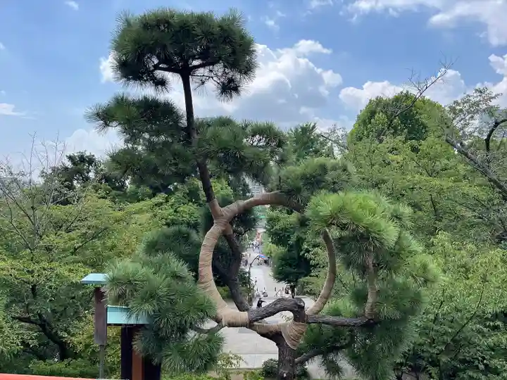 清水観音堂(東京都)