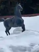 高照神社(青森県)