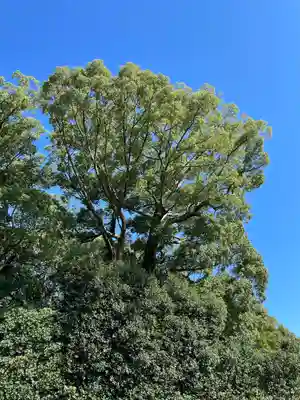 月讀宮（皇大神宮別宮）(三重県)