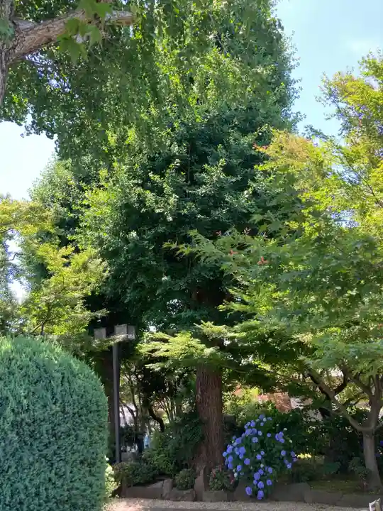 寶安寺(宝安寺)(神奈川県)