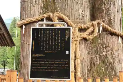 奥氷川神社(東京都)