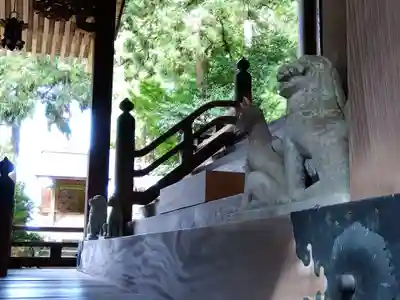 岡太神社・大瀧神社(福井県)