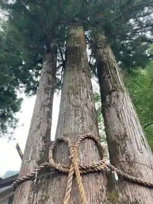 奥氷川神社(東京都)